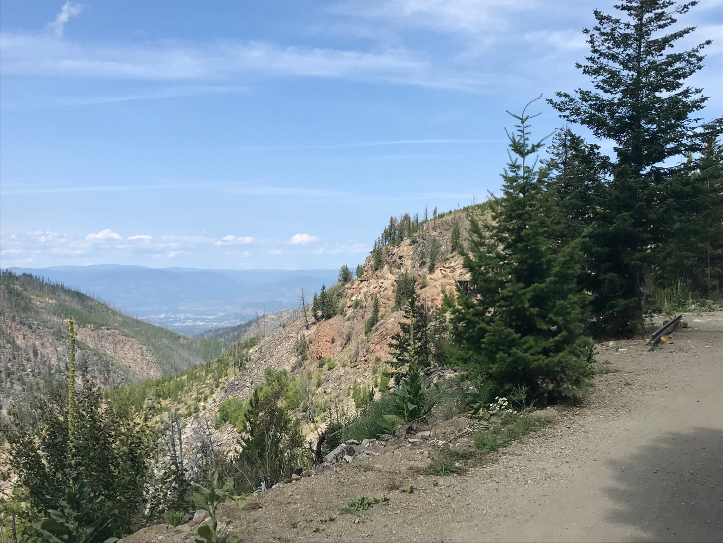 Trailside (Peru) - Medium Roast